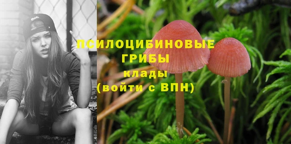 марки lsd Верхний Тагил