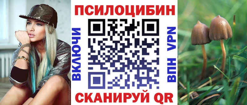 Галлюциногенные грибы мицелий  Вятские Поляны 